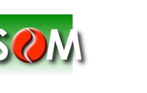 Le championnat jeune hiver en équipes est terminé !